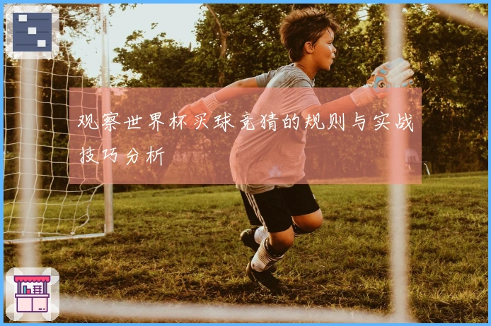观察世界杯买球竞猜的规则与实战技巧分析