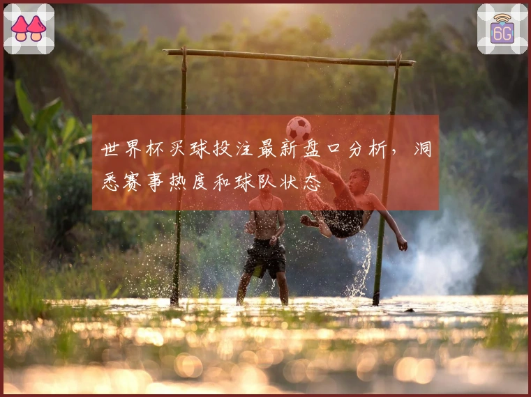 世界杯买球投注最新盘口分析，洞悉赛事热度和球队状态