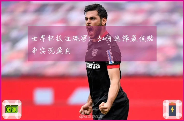 世界杯投注观察：如何选择最佳赔率实现盈利