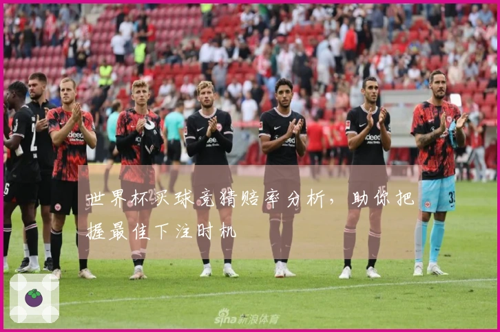 世界杯买球竞猜赔率分析，助你把握最佳下注时机