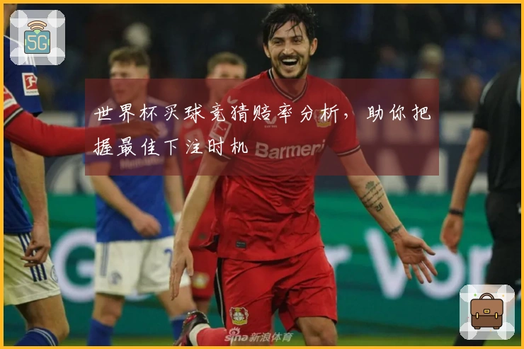 世界杯买球竞猜赔率分析，助你把握最佳下注时机