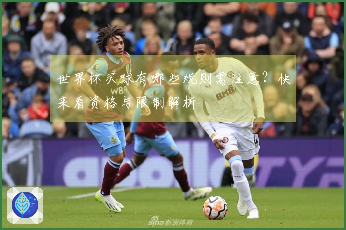 世界杯买球有哪些规则需注意？快来看资格与限制解析