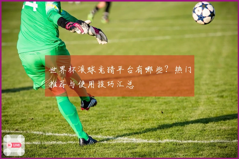 世界杯滚球竞猜平台有哪些？热门推荐与使用技巧汇总