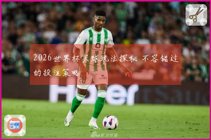2026世界杯买球玩法探秘 不容错过的投注策略