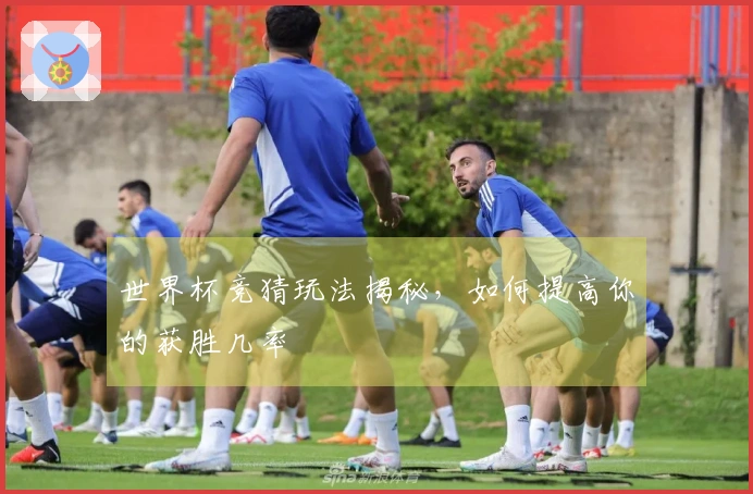 世界杯竞猜玩法揭秘，如何提高你的获胜几率