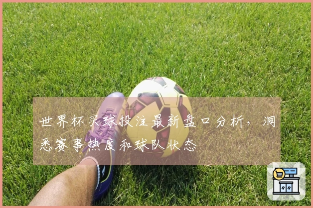 世界杯买球投注最新盘口分析，洞悉赛事热度和球队状态