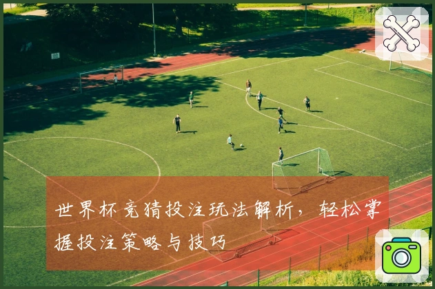 世界杯竞猜投注玩法解析，轻松掌握投注策略与技巧