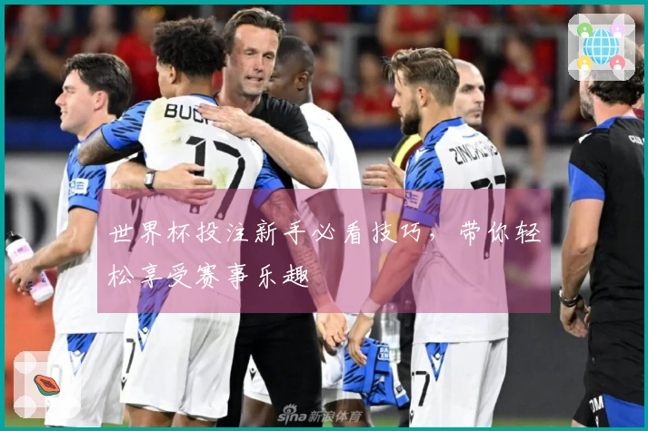 世界杯投注新手必看技巧，带你轻松享受赛事乐趣