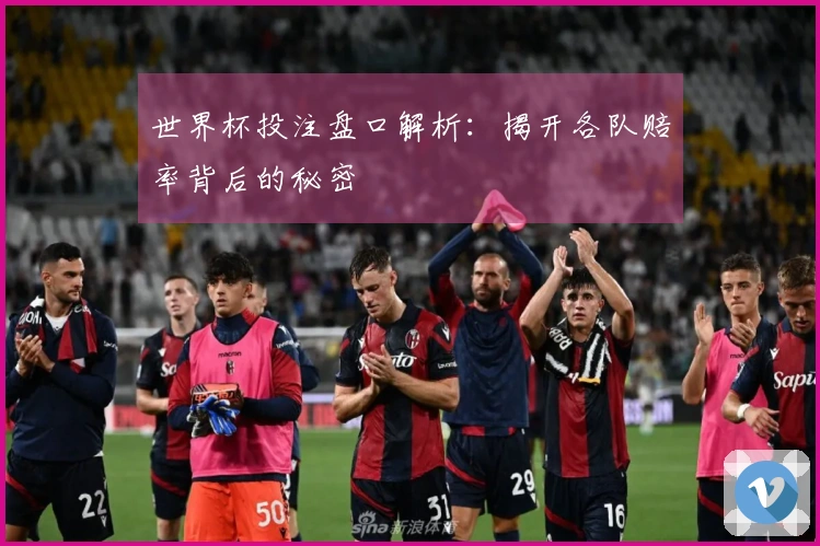 世界杯投注盘口解析：揭开各队赔率背后的秘密